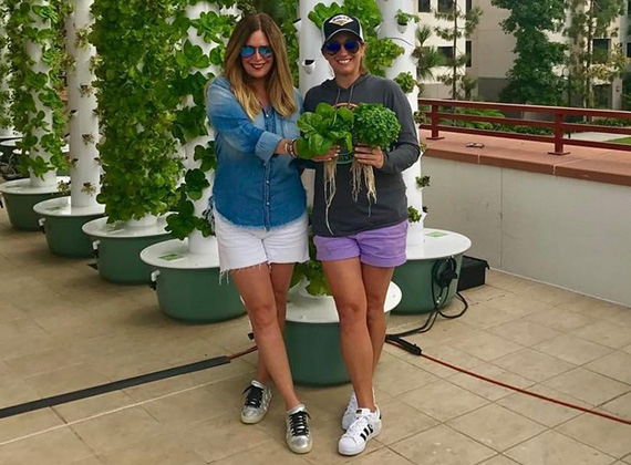 LA-Urban-Farms