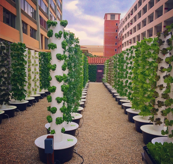 LA-Urban-Farms