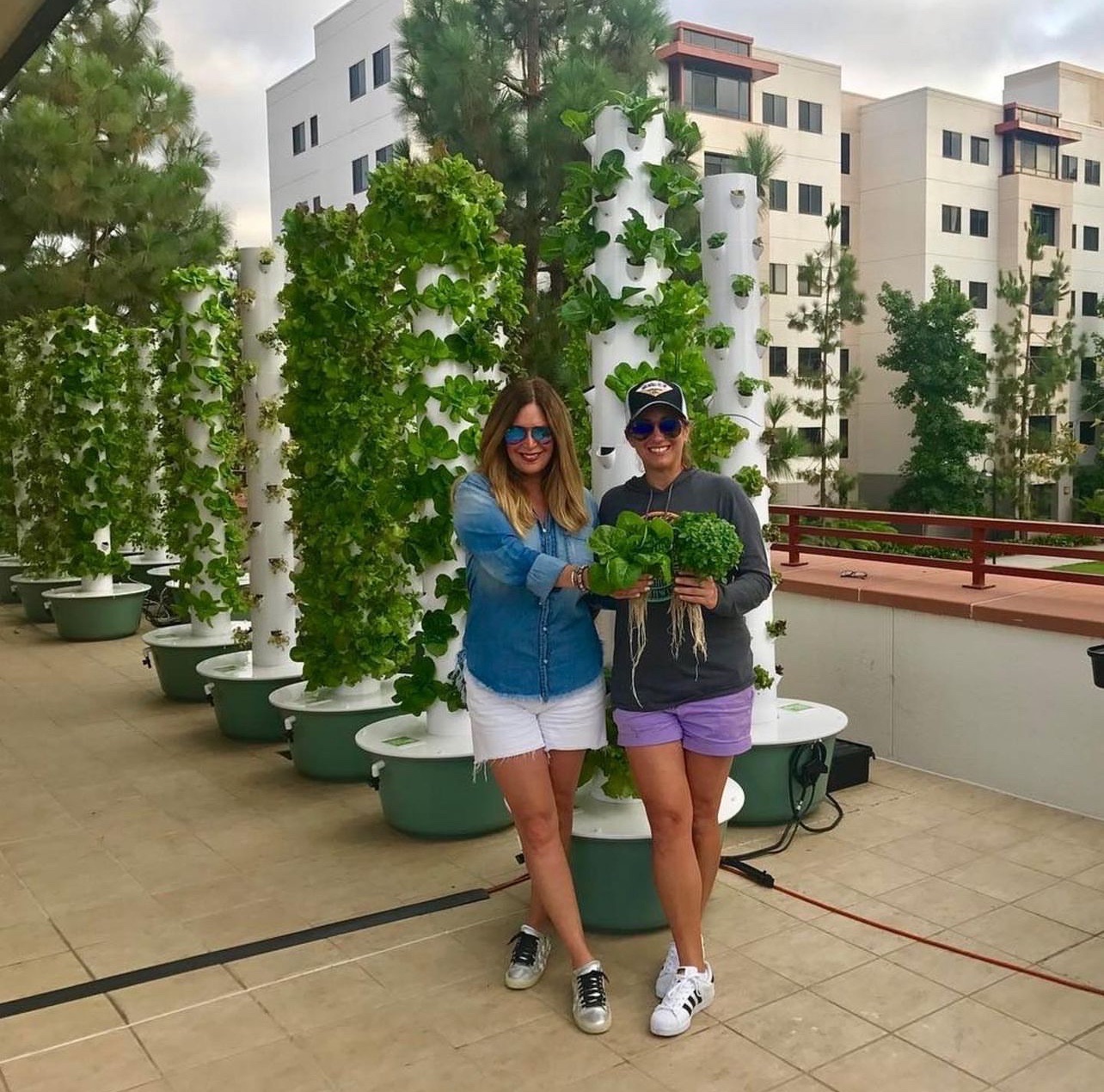 Vertical Gardens
